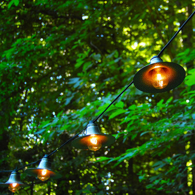 Outdoor String Lights You'll Love in 2020 | Wayfair